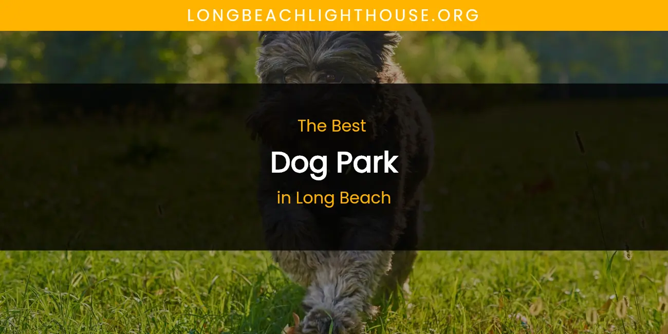 Long Beach's Best Dog Park featured